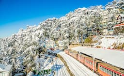 Shimla