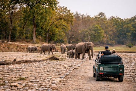 Bike on Rent in Delhi