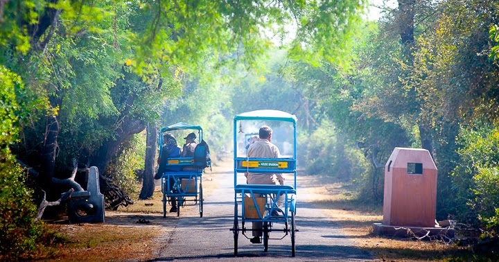 Gurgaon, to Keoladeo National Park Bike Rental Guide and Tips Ggn