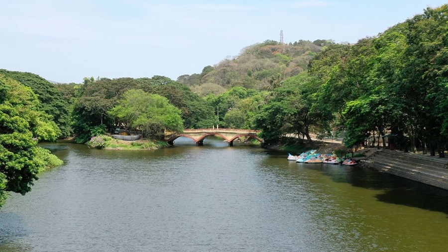Sanjay Gandhi National Park: A Forest Escape Inside Mumbai Guide!