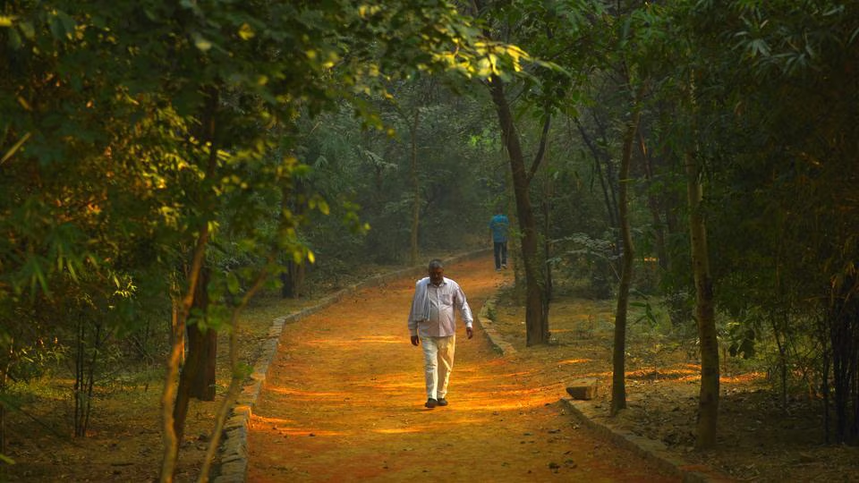 Sanjay Van: Delhi’s Hidden Forest to Explore by Bike Rental